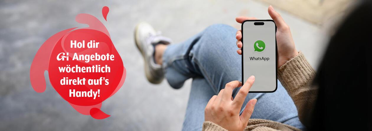 gh-whatsapp-service-teaser 2 gh-whatsapp-service-teaser 2